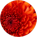 Kate W. profile picture